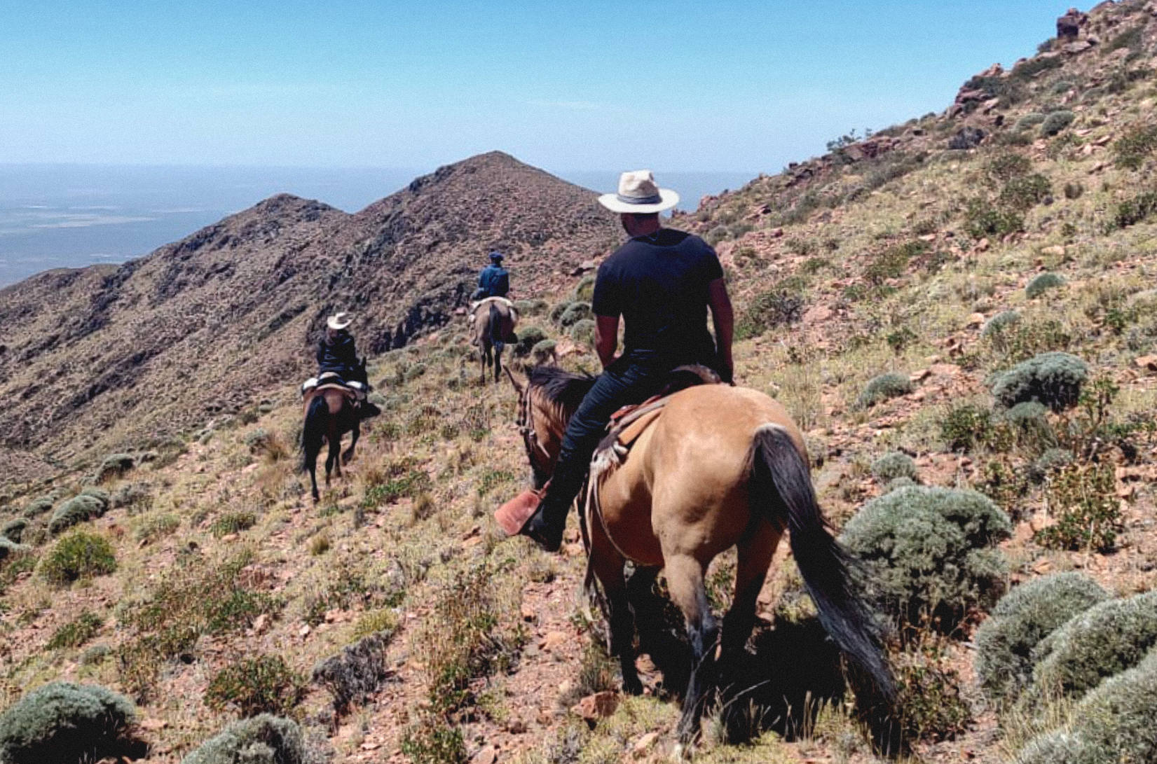 pic_cabalgatasguiadas02