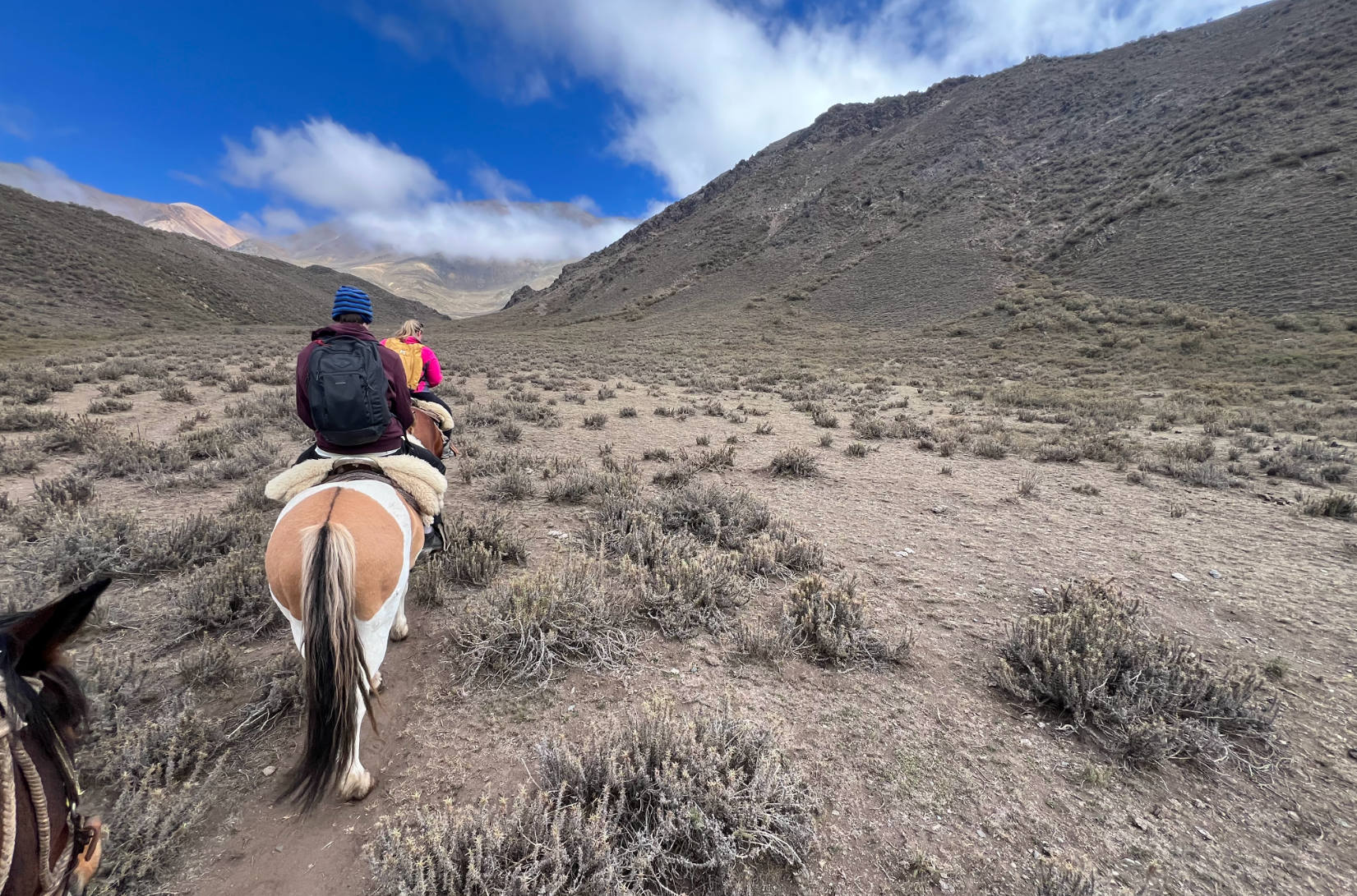 pic_cabalgatasguiadas03